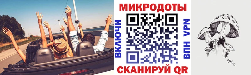 Псилоцибиновые грибы Psilocybe  Бабаево 